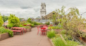 The roof terrace with abundant plant life at 81 Rivington Street in Shoreditch